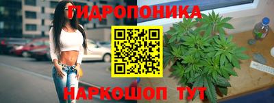 гашик Прокопьевск