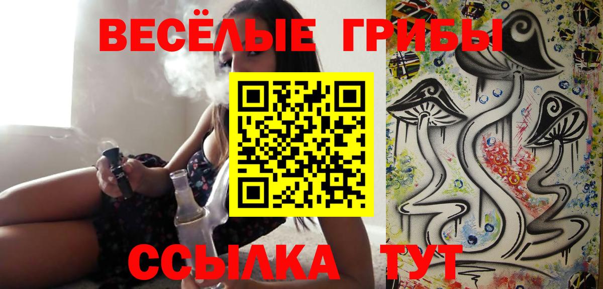 Псилоцибиновые грибы Psilocybine cubensis Казань